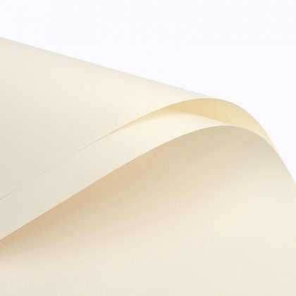 Blumenfolie matt in Blättern 57cm x 57cm, Cremefarben