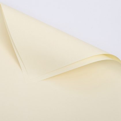 Blumenfolie matt in Blättern 57cm x 57cm, Beige